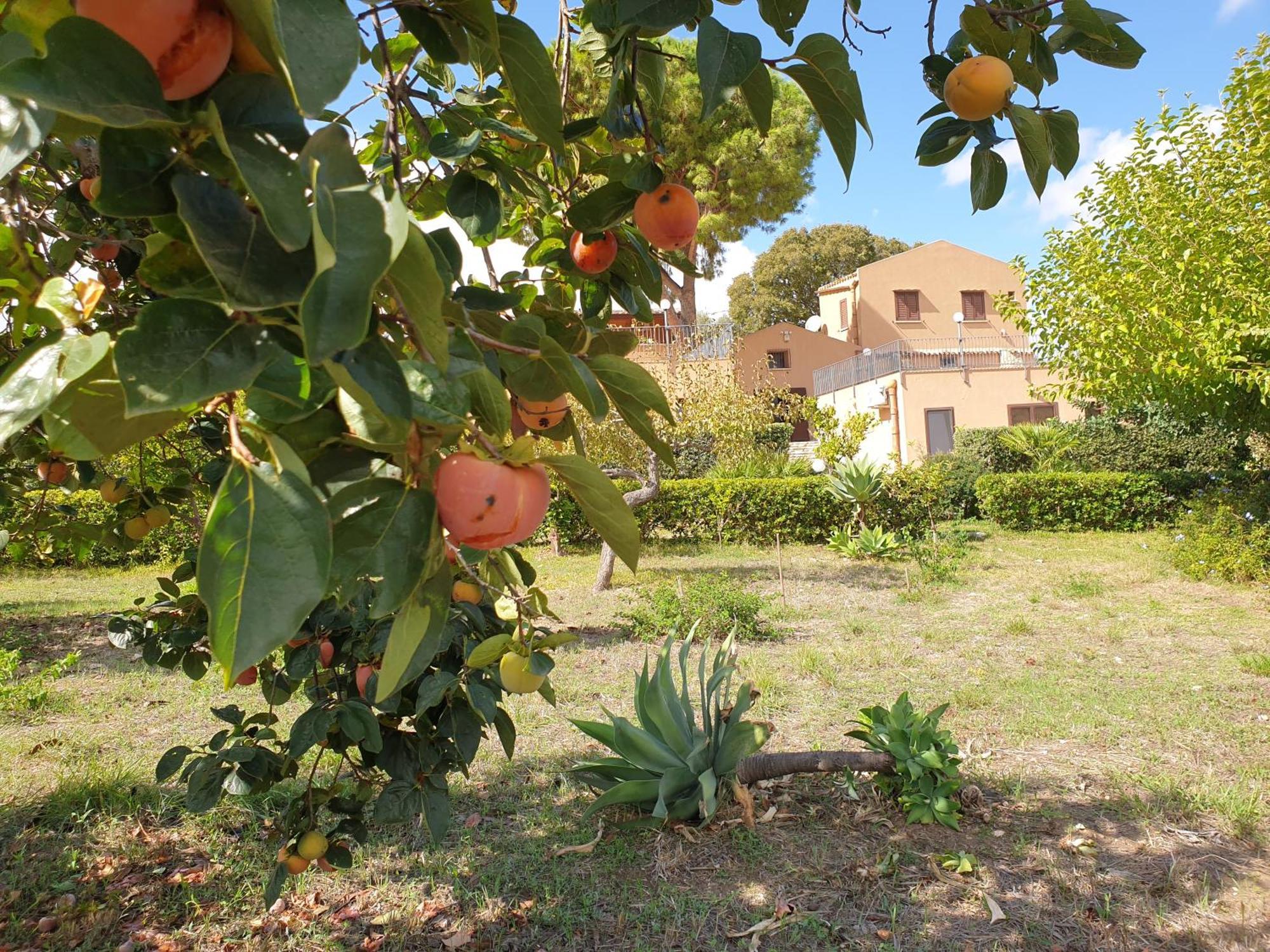 Le Terrazze Su Fraginesi Apartamento Castellammare del Golfo Exterior foto