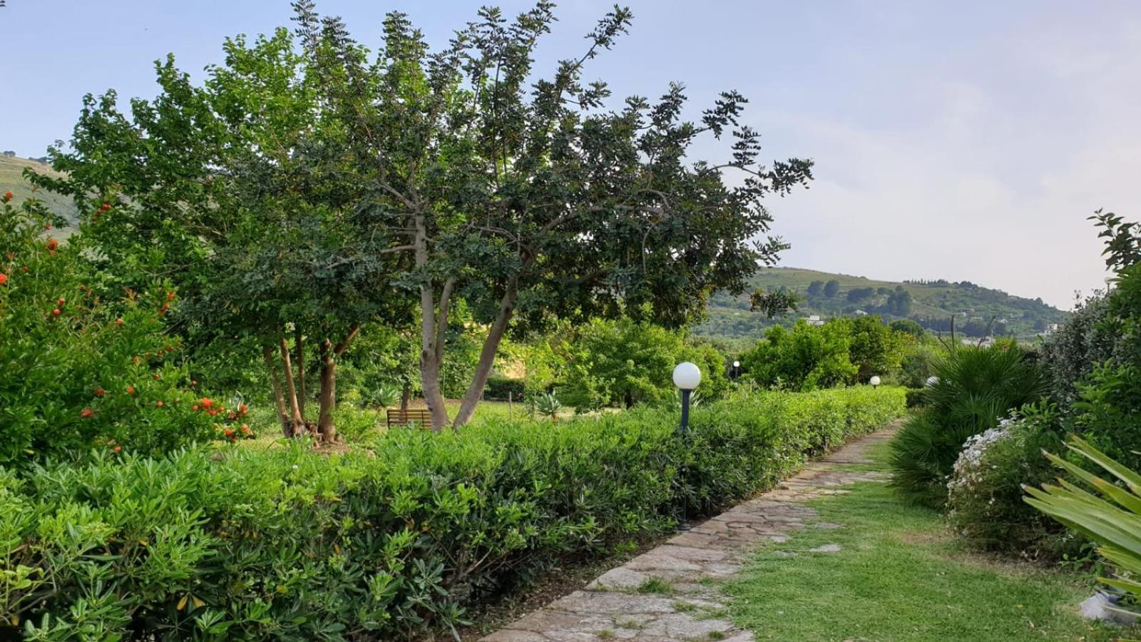 Le Terrazze Su Fraginesi Apartamento Castellammare del Golfo Exterior foto